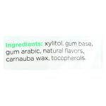 Pur Spearmint Gum  - Case of 12 - 2.72 OZ