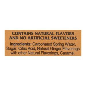 Fever-tree - Ginger Ale Cans - Case of 3-8/5.07FZ
