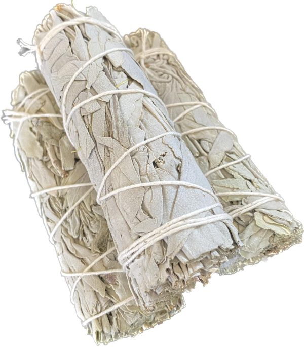 Bholi Sage Plus White Sage Sticks Pack of 3 Sage Smudge Kit 4'' Long Dried Sage Sticks for Meditation Smudging and Cleansing Getting Rid of Negative Energy - Image 2