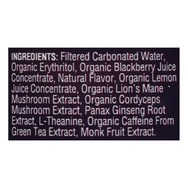 Odyssey - Sparkling Energy Blkbry Lemon - Case of 12-12 FZ - Image 2