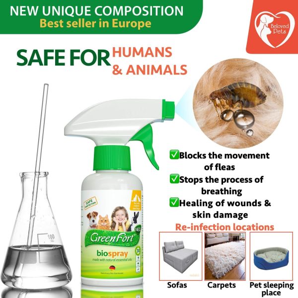 Natural Flea and Tick Home Spray for Dogs Cats & Ferret   Mosquito Bug Repellent & Carpet Flea Killer   Pet Pest Control & House Flea Treatment Indoor   Organic Prevention for Safe - Image 3