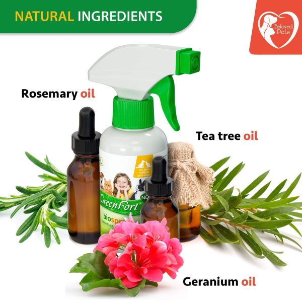 Natural Flea and Tick Home Spray for Dogs Cats & Ferret   Mosquito Bug Repellent & Carpet Flea Killer   Pet Pest Control & House Flea Treatment Indoor   Organic Prevention for Safe - Image 4