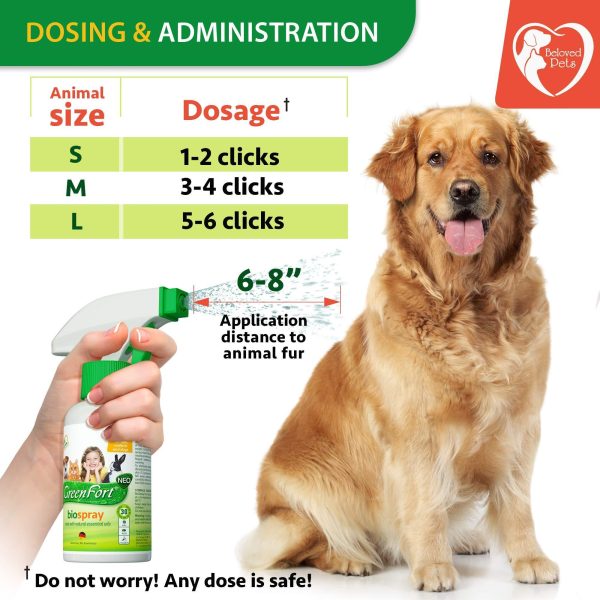 Natural Flea and Tick Home Spray for Dogs Cats & Ferret   Mosquito Bug Repellent & Carpet Flea Killer   Pet Pest Control & House Flea Treatment Indoor   Organic Prevention for Safe - Image 5