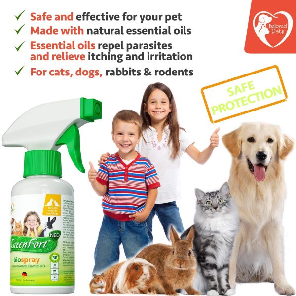 Natural Flea and Tick Home Spray for Dogs Cats & Ferret   Mosquito Bug Repellent & Carpet Flea Killer   Pet Pest Control & House Flea Treatment Indoor   Organic Prevention for Safe - Image 6