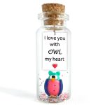 Cute Girlfriend and Boyfriend Gifts   Personalized Anniversary Present for Her Him   Custom Photo Birthday Gift Bottle (Colorful Owl   I Love You With Owl My Heart Gift Bottle)