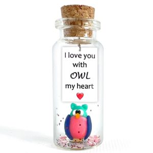 Cute Girlfriend and Boyfriend Gifts   Personalized Anniversary Present for Her Him   Custom Photo Birthday Gift Bottle (Colorful Owl   I Love You With Owl My Heart Gift Bottle)