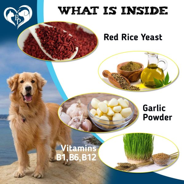 Flea and Tick Prevention Chewable Pills for Dogs and Cats   Revolution Oral Flea Treatment for Pets   Pest Control & Natural Defense   Chewables Small Tablets Made in USA (Beef) - Image 4