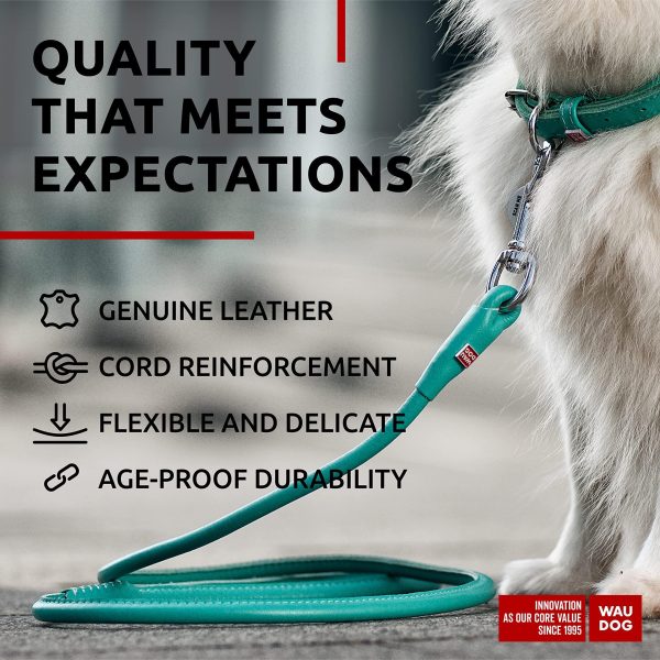 WAUDOG Rolled Leather Dog Leash 4Ft * 0.3 in for Small Medium and Large Dogs   Heavy Duty Leather Puppy Leash for Outdoor Walking Running Training   Strong Dog Leashes for Large Breed Dogs (Mint) - Image 3