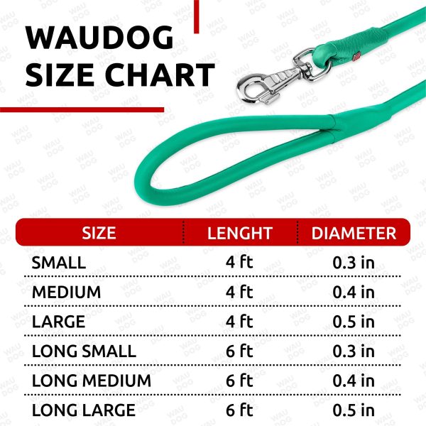 WAUDOG Rolled Leather Dog Leash 4Ft * 0.3 in for Small Medium and Large Dogs   Heavy Duty Leather Puppy Leash for Outdoor Walking Running Training   Strong Dog Leashes for Large Breed Dogs (Mint) - Image 6
