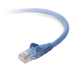 3' Cat6 Patch Blue