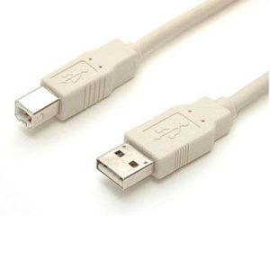 6' USB Cable  MM