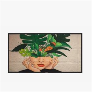 43" Non Android TAA 24 7