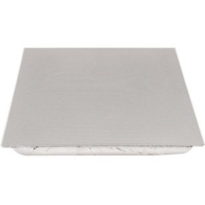 Speaker 2 X 2 Drop In 8 Ohm