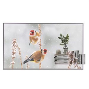 55" OLED Trnsprnt 1920x1080