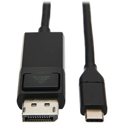 USB C to DisplayPort Adapter