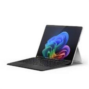 Pro11 Pls 16 256 Platinum