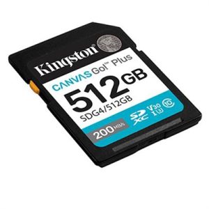 Kingston SD Card