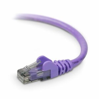 20' CAT6 Patch - Purple
