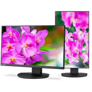24" DD EA241F Desktop Monitor