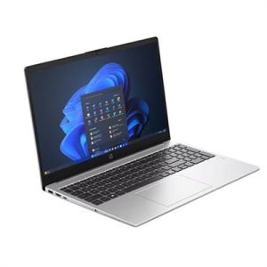 15.6 255RG10 R57535U 16G 512GB