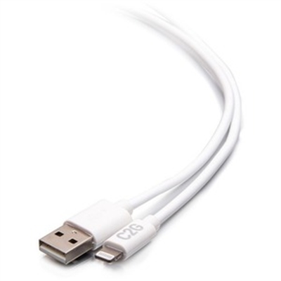 10ft Lightning to USB A Cable