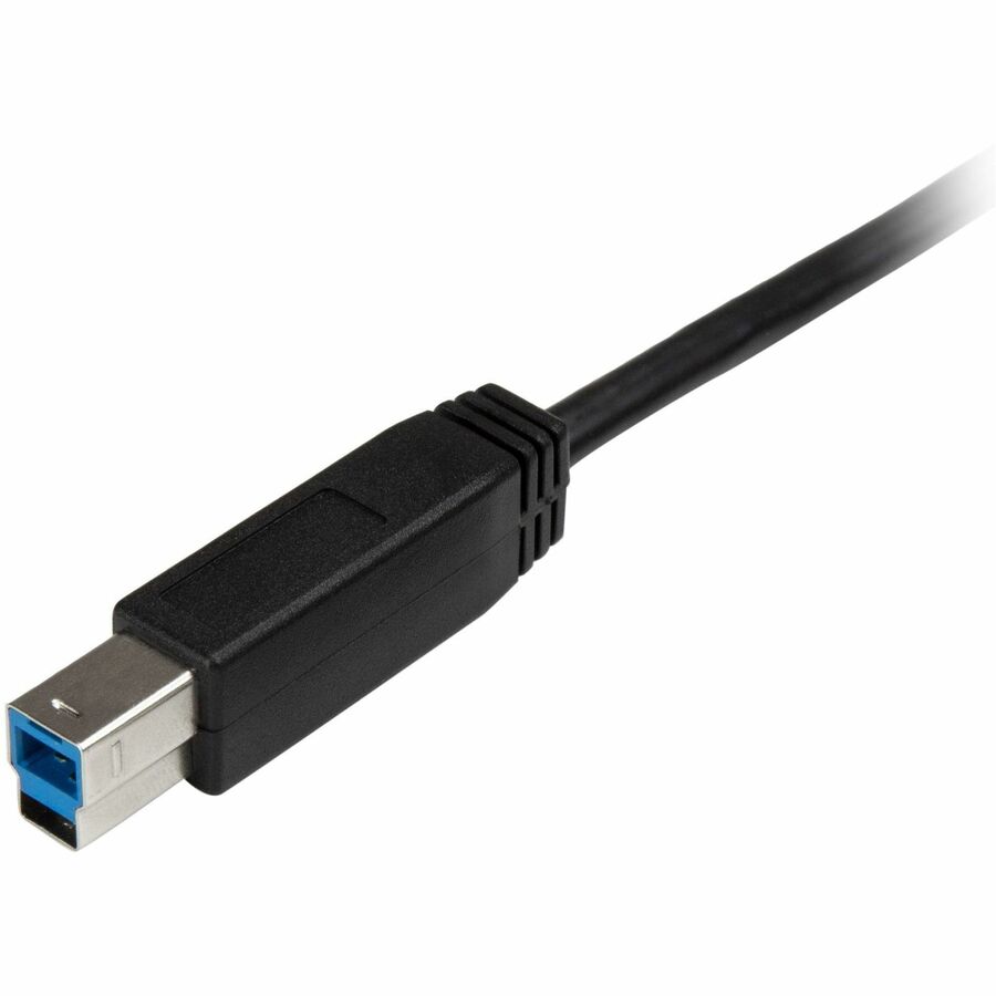 StarTech.com 2m 6 ft USB C to USB B Printer Cable - M/M - USB 3.0 (5Gbps) USB B Cable - USB C to USB B Cable - USB Type C to Type B Cable - Image 4