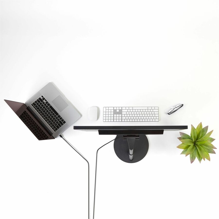 StarTech.com 6 ft Mini DisplayPort to DisplayPort 1.2 Adapter Cable M/M - DisplayPort 4k - Image 7