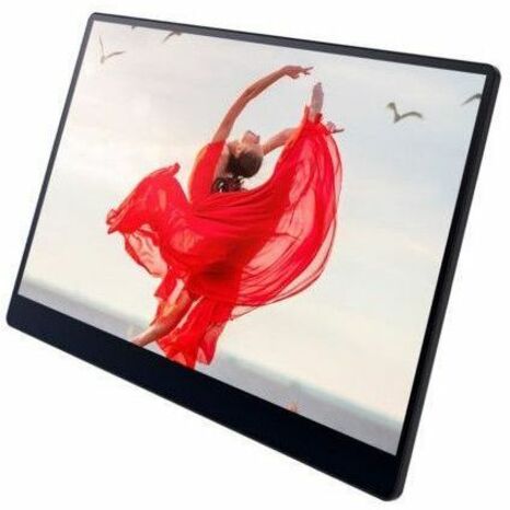 Ricoh 150BW 16" Class OLED Touchscreen Monitor - 1 ms - Image 2