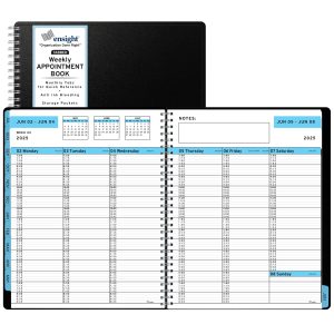 2024   2025 Appointment Book & Planner   8.5 x 11 inches Large Tabbed Daily Hourly Weekly Academic Planner Calendar & Schedule Book 15 Minute time Slots Business & Personal July 2024   June 2025 (Blue)