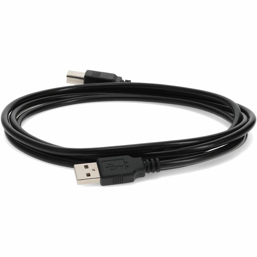 AddOn 6ft HP Q6264A Compatible USB 2.0 (A) Male to USB 2.0 (B) Male Black Cable - Image 2