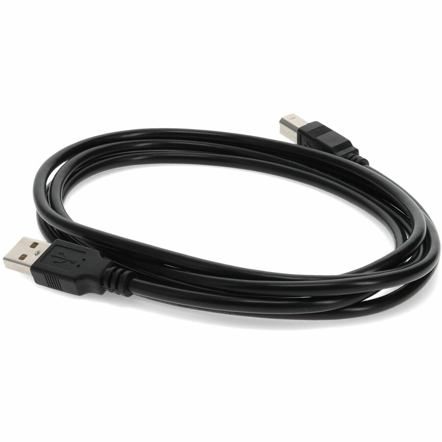 AddOn 6ft HP Q6264A Compatible USB 2.0 (A) Male to USB 2.0 (B) Male Black Cable - Image 3