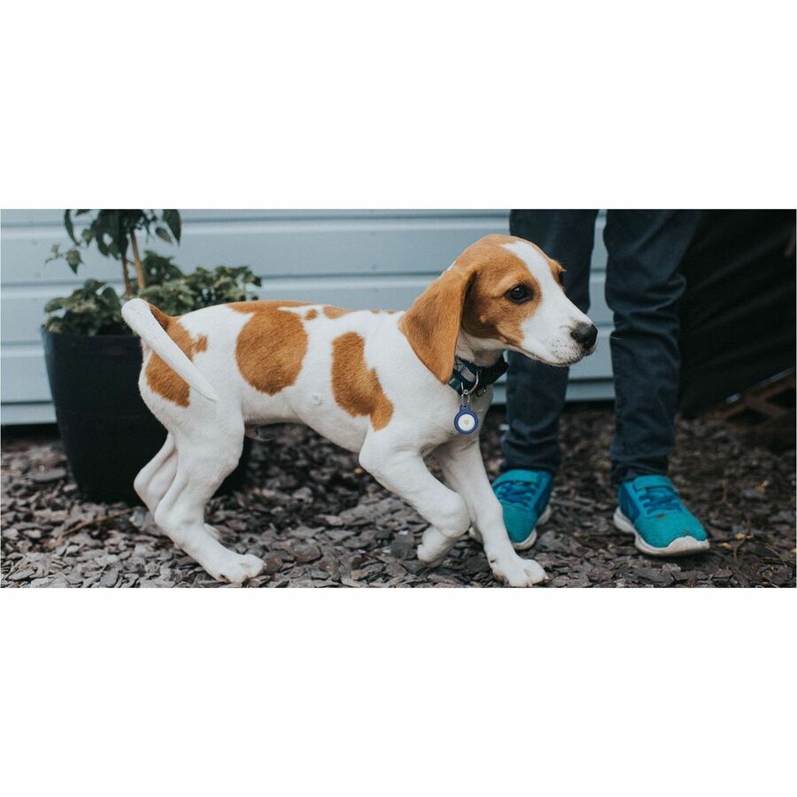 Belkin Secure Holder With Key Ring For AirTag 4-Pack - Image 2