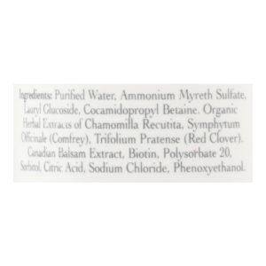 Stony Brook Shampoo Unscented - 16 fl oz