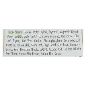 Spry Mouth Wash - Herbal Mint - Af - 16 fl oz