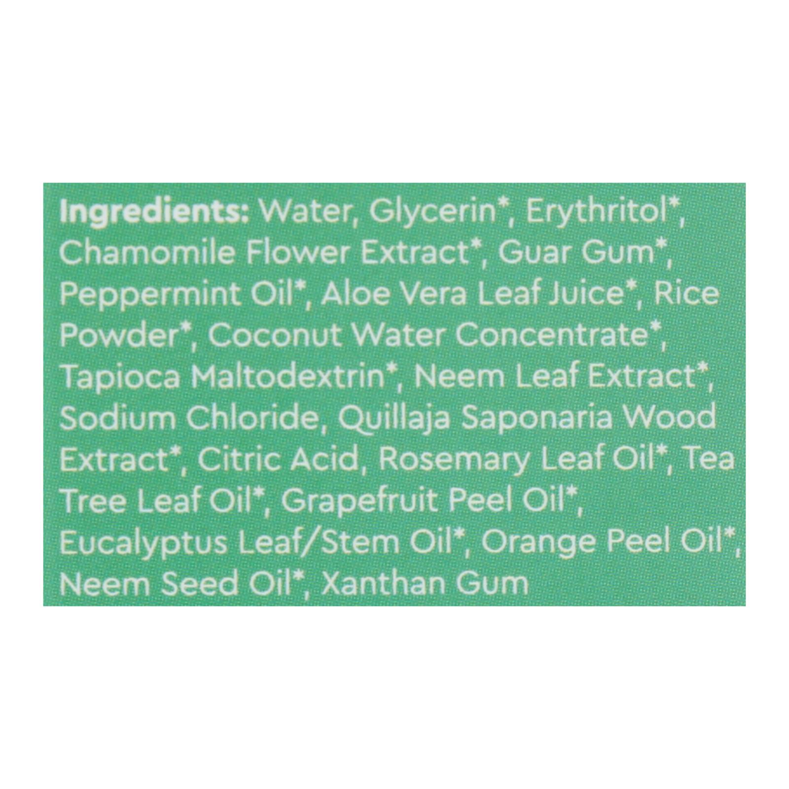 Radius Whitening Mint Aloe Neem Toothpaste - 1 Each - 3 OZ - Image 2