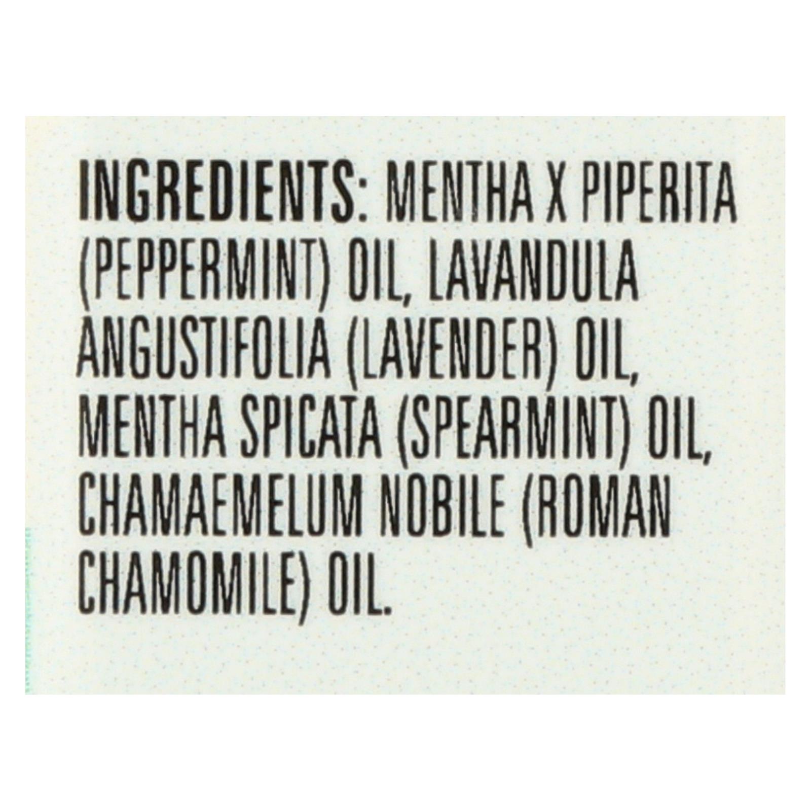 Aura Cacia - Essential Solutions Oil Gray Matter Batter - 0.5 fl oz - Image 2