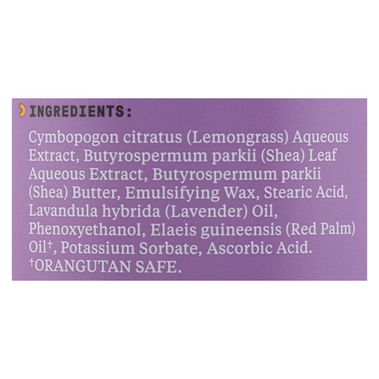 Alaffia - Everyday Lotion - Lavender - 32 oz. - Image 2