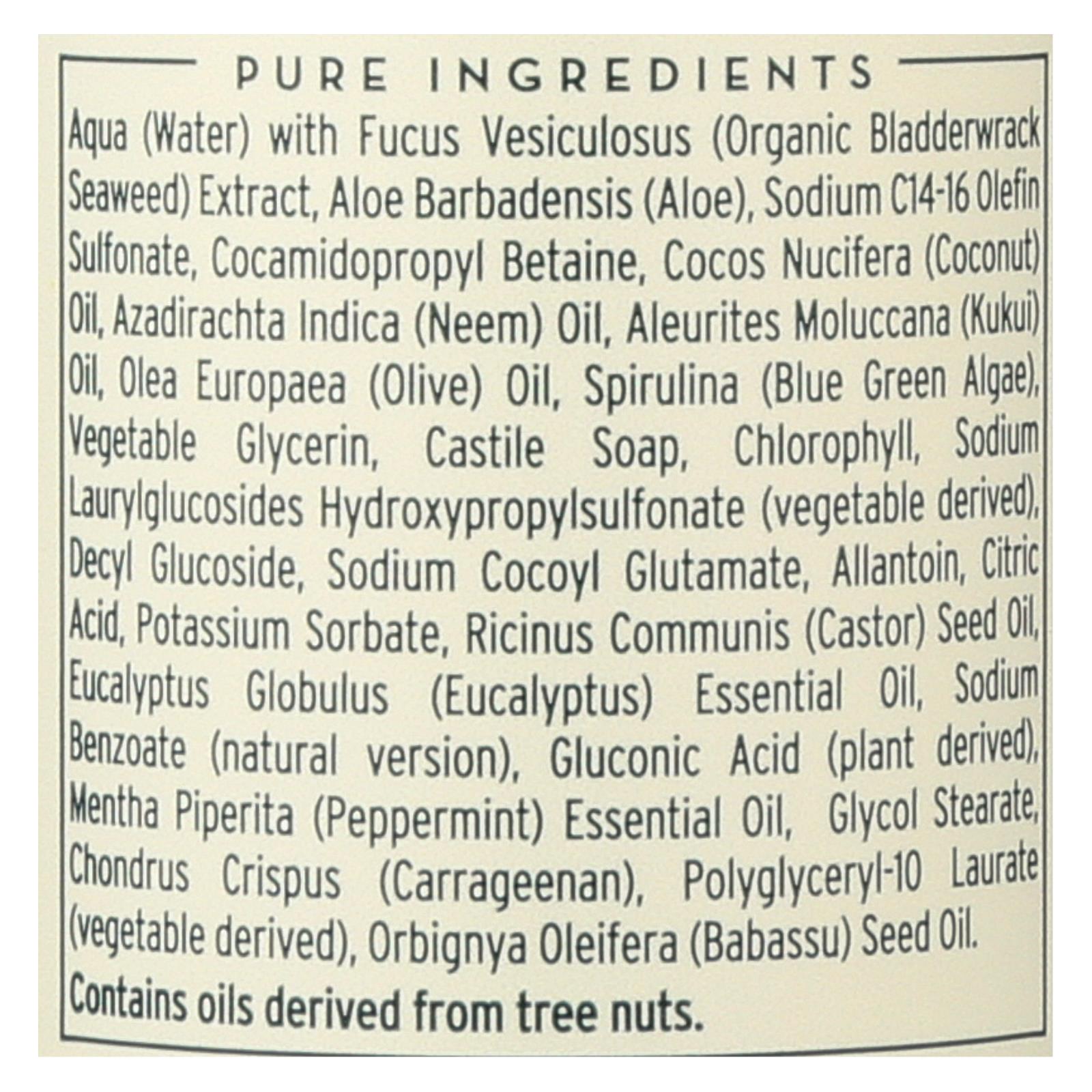 The Seaweed Bath Co Body Wash - Eucalyptus & Peppermint - 12 fl oz - Image 2